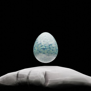 egg: 6576