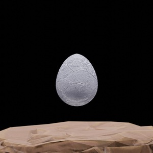 egg: 6836