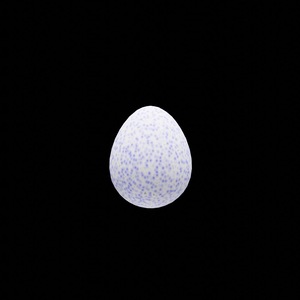egg: 5484