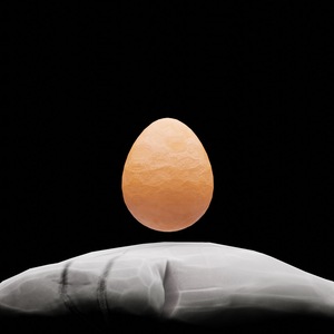 egg: 3732