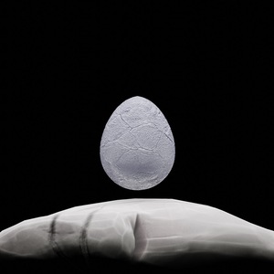 egg: 393