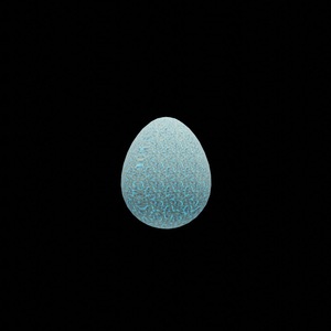 egg: 7508