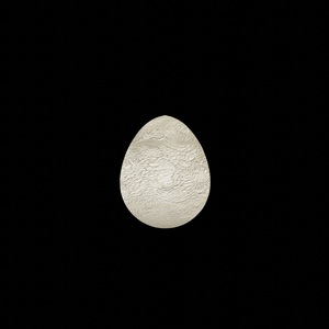 egg: 9954