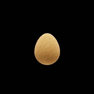 egg: 8378