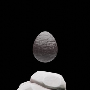 egg: 256