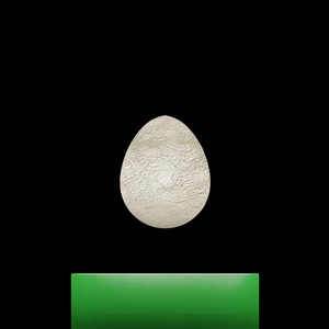 egg: 8992