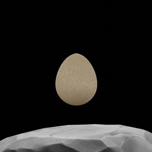 egg: 7692