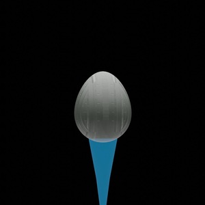 egg: 3546