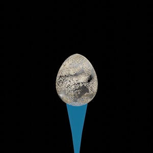 egg: 8304