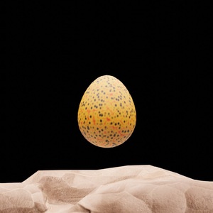 egg: 404
