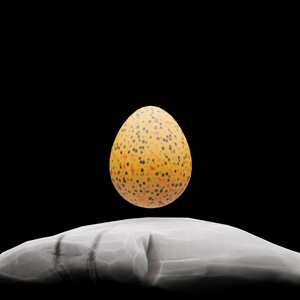 egg: 4212