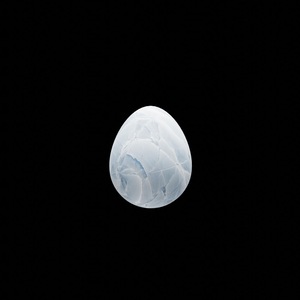 egg: 9884