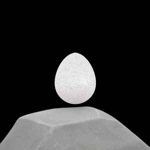 egg: 8692
