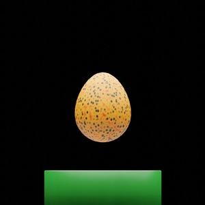 egg: 5798