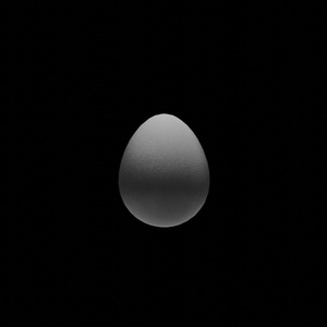 egg: 4862