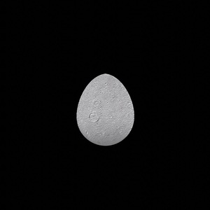 egg: 9092